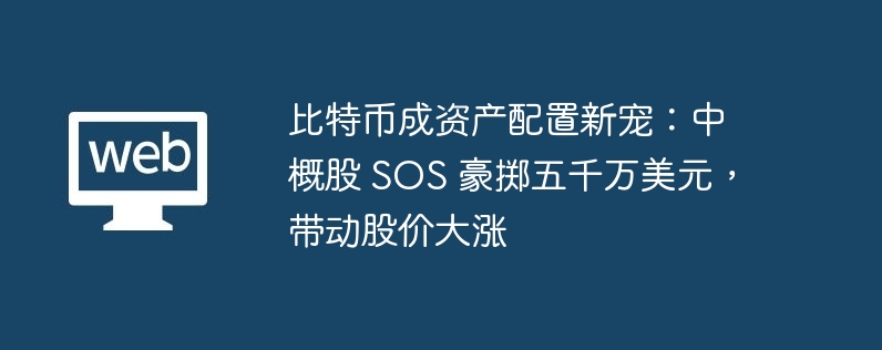 比特币成资产配置新宠：中概股 sos 豪掷五千万美元，带动股价大涨